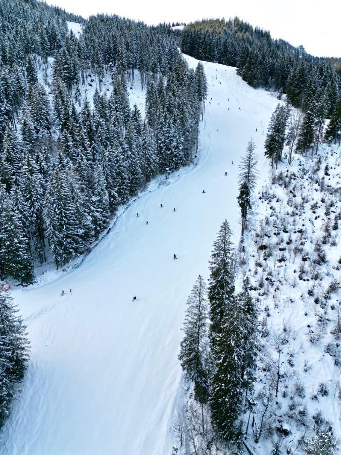 Alpenoase Schliersee - Grosse Suite Mit Sauna Oder Gemuetliche Studio Appartements エクステリア 写真