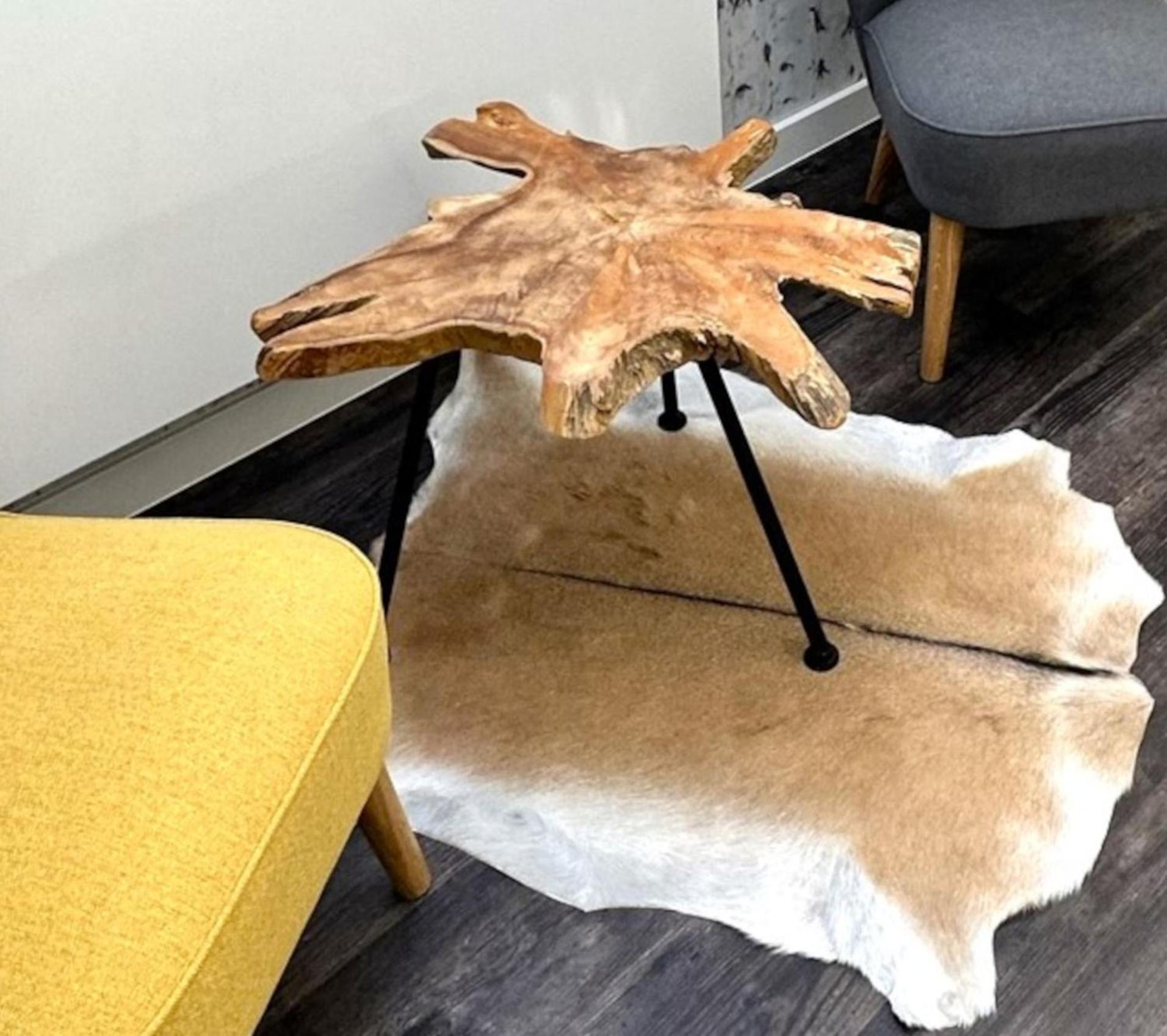 Alpenoase Schliersee - Grosse Suite Mit Sauna Oder Gemuetliche Studio Appartements 部屋 写真