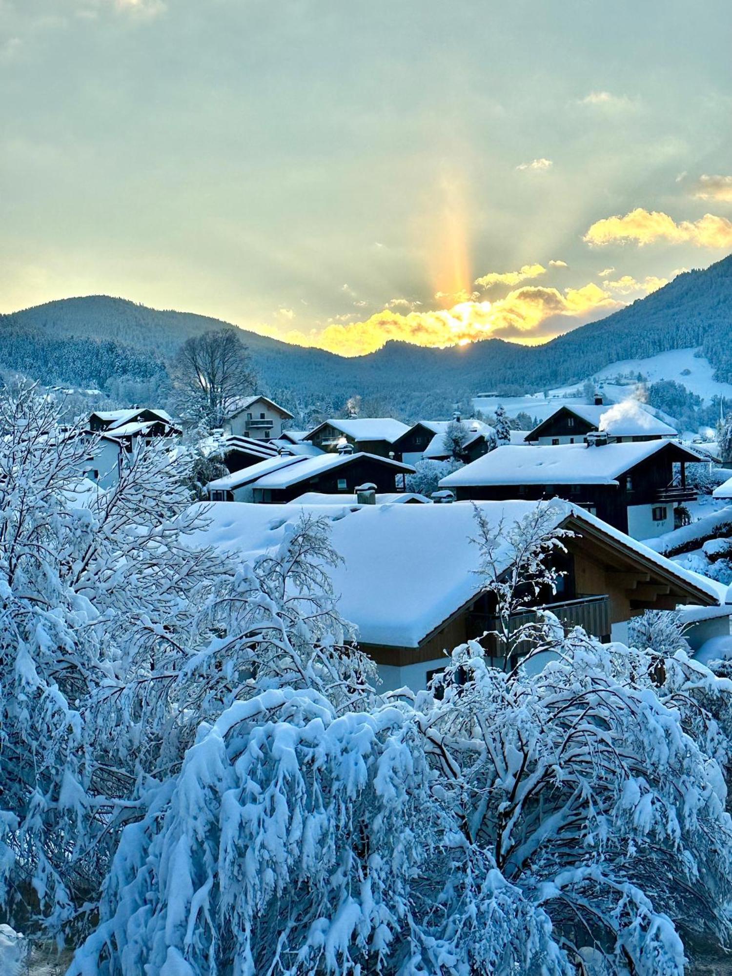 Alpenoase Schliersee - Grosse Suite Mit Sauna Oder Gemuetliche Studio Appartements エクステリア 写真